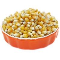 Biona Cin Mısır 500 Gr (Popcorn)