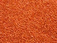 Biona Kırmızı Mercimek 500 Gr