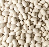 Biona Organik Kuru Fasulye 1000 Gr